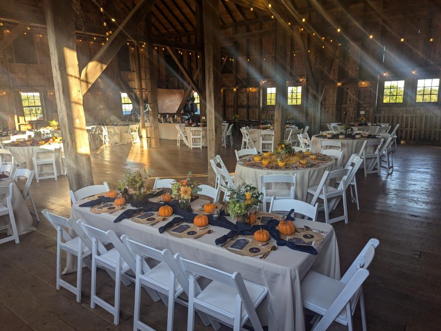 PXL_20241011_213009353